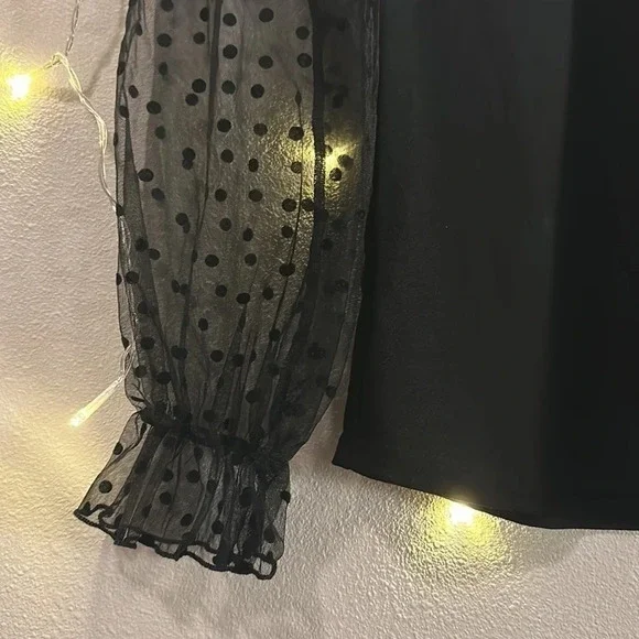 Tie Neck Mesh Sleeve Polka Dot Long Sleeve Top​​​​​​​​​​ - Picture 2 of 4